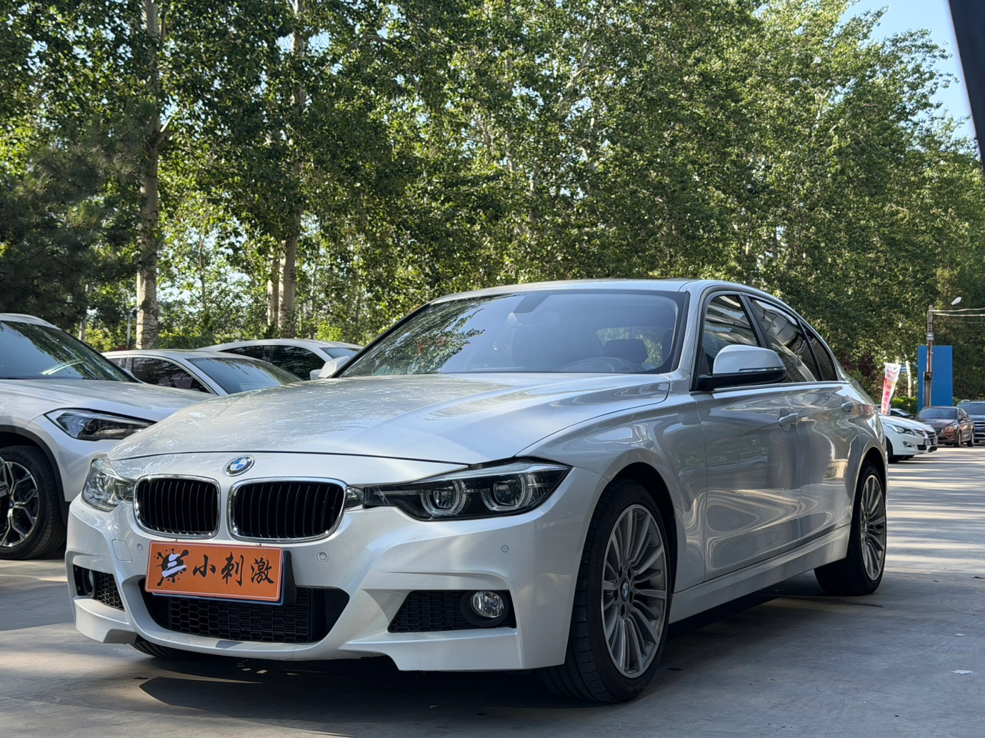 BMW 320Li