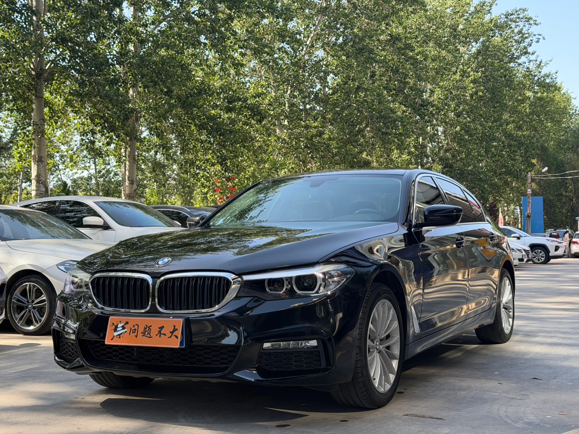 BMW 530 Li