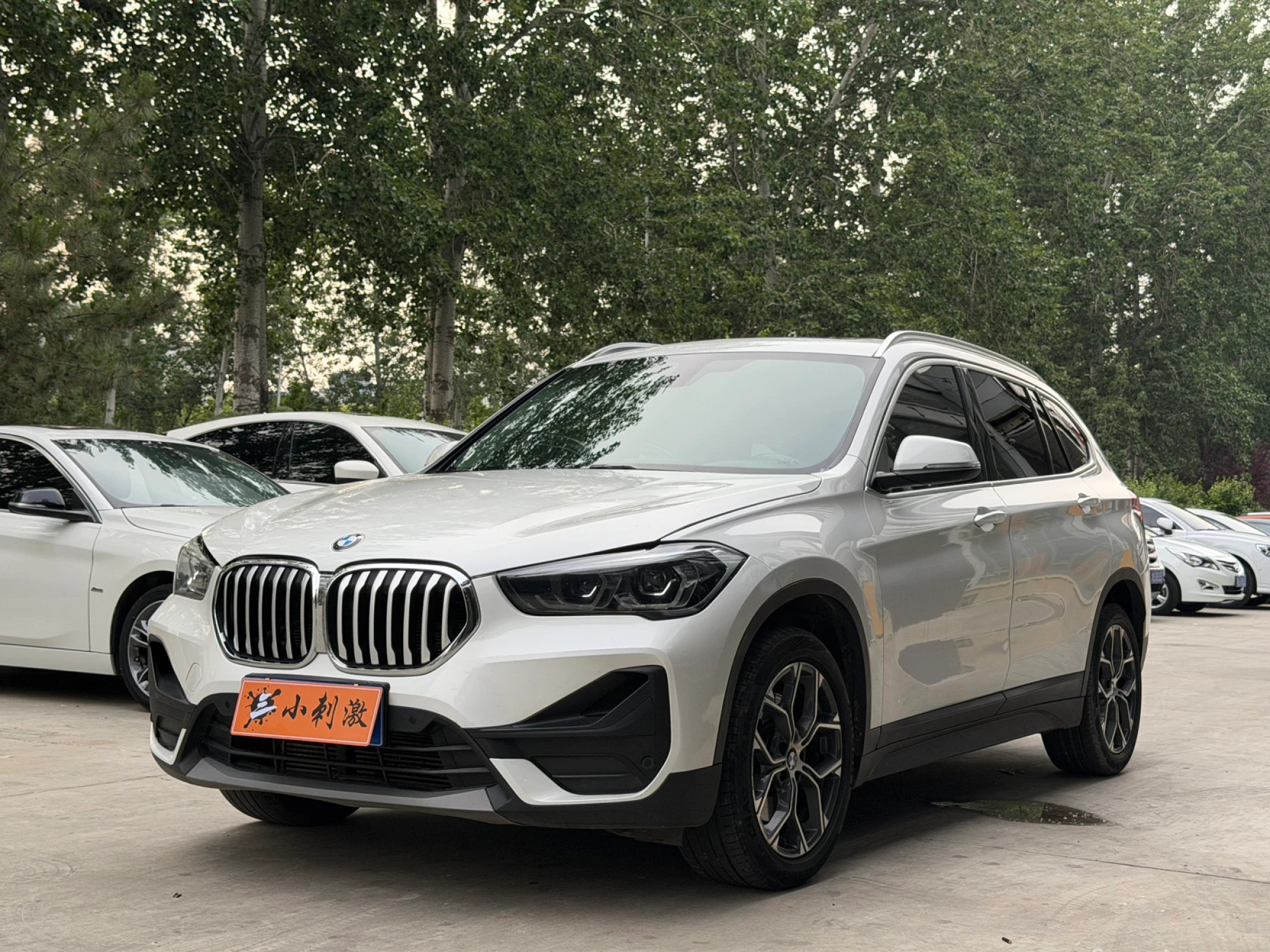 BMW X1 25Li