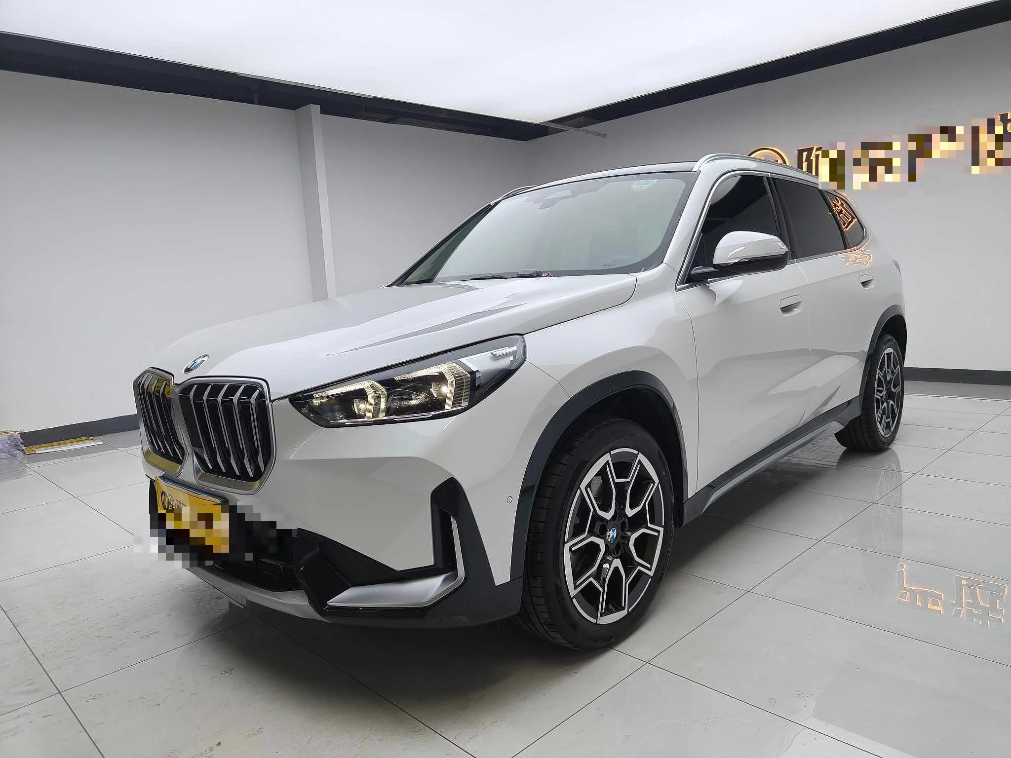 BMW X1 25Li 