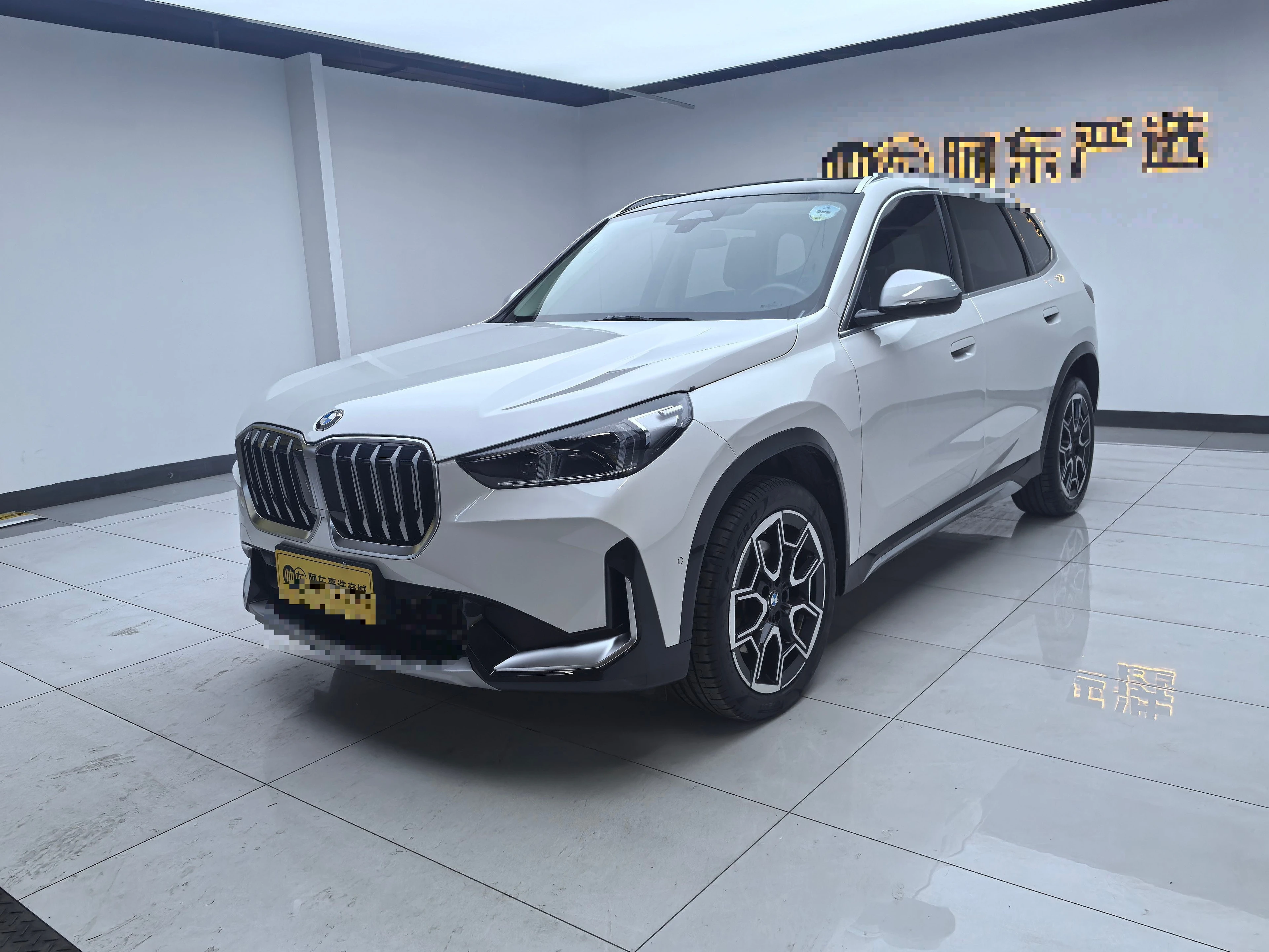 BMW X1 25Li