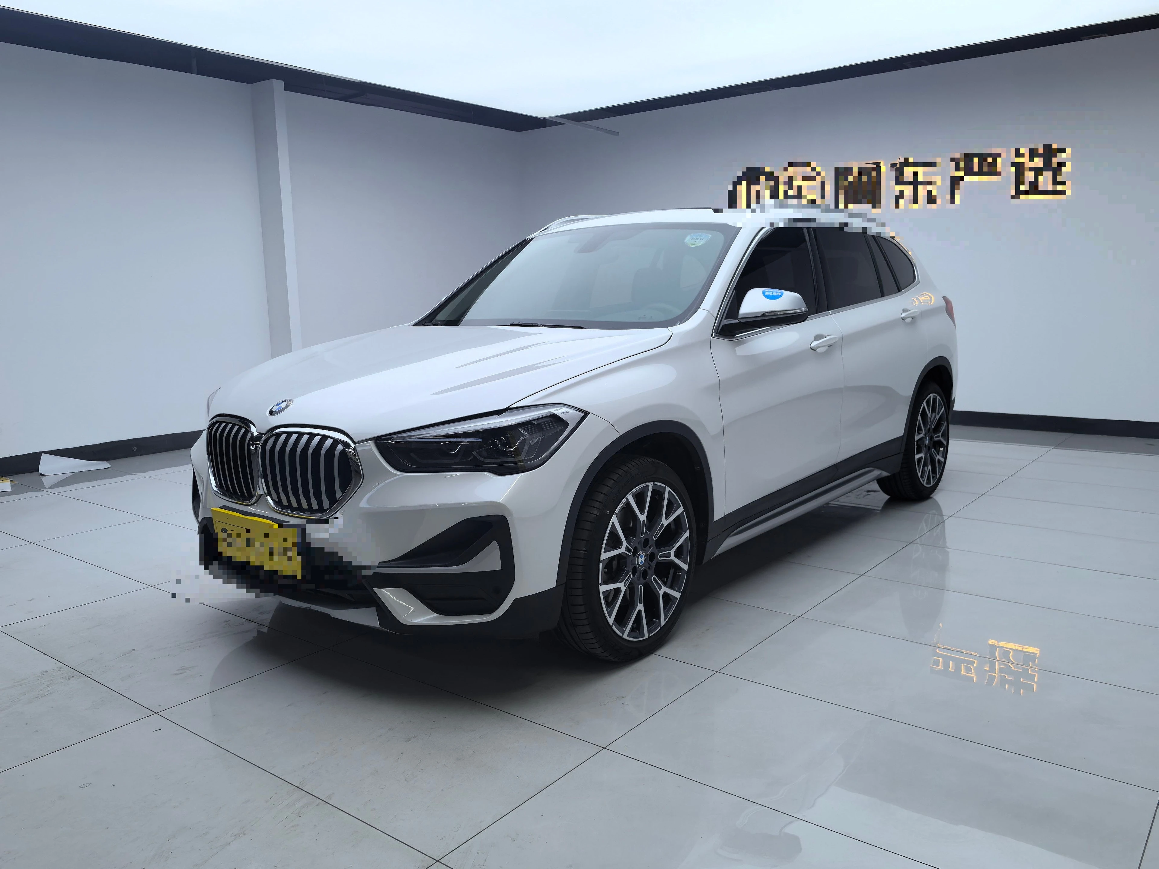 BMW X1 25Li  