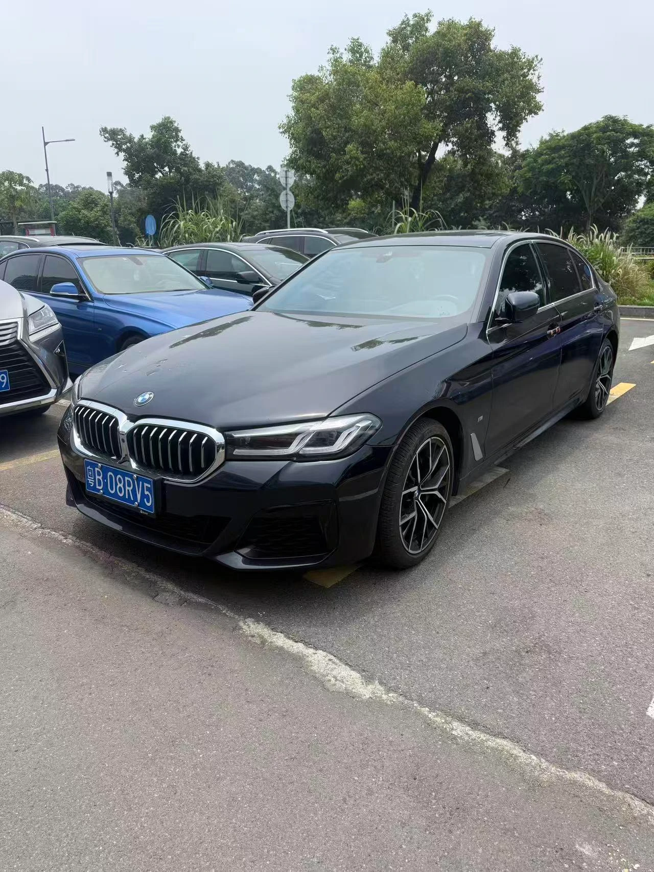 BMW 5 Series 530Li M Sport
