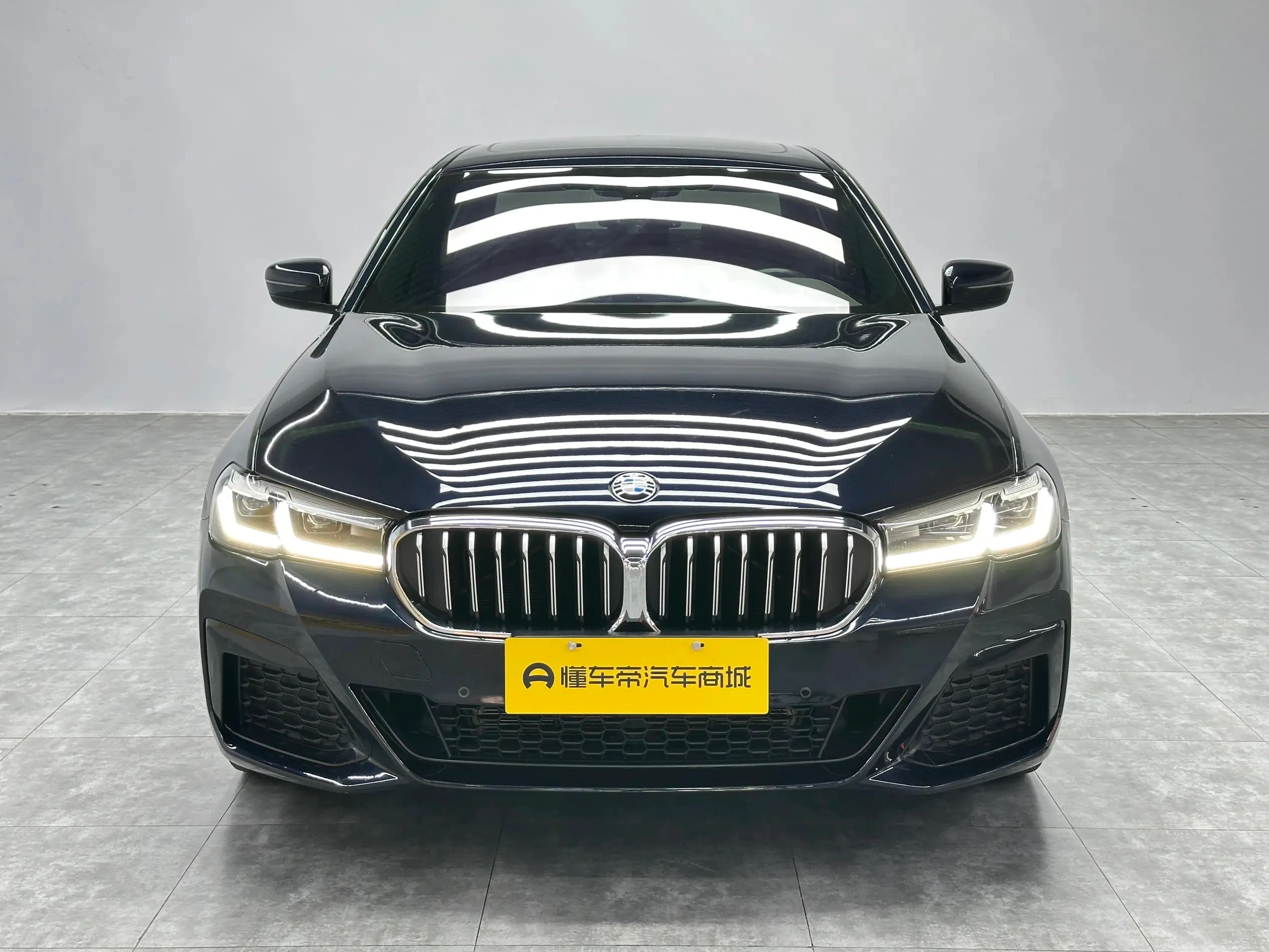 BMW 5 Series 530Li Leading - exterior