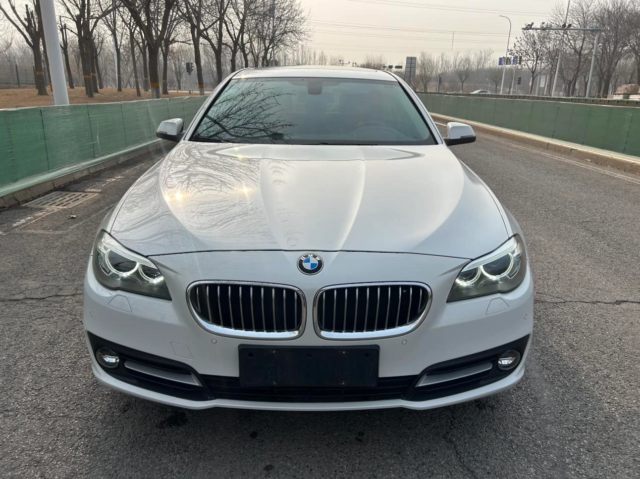 BMW 5 Series 520Li Elegance - exterior