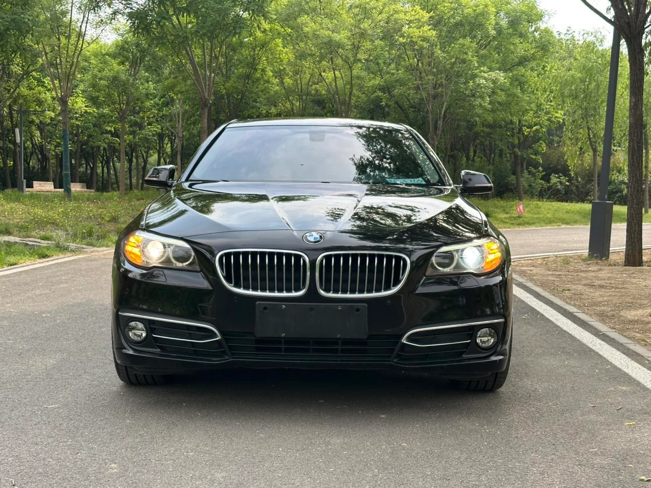 BMW 5 Series 525 Li  - exterior