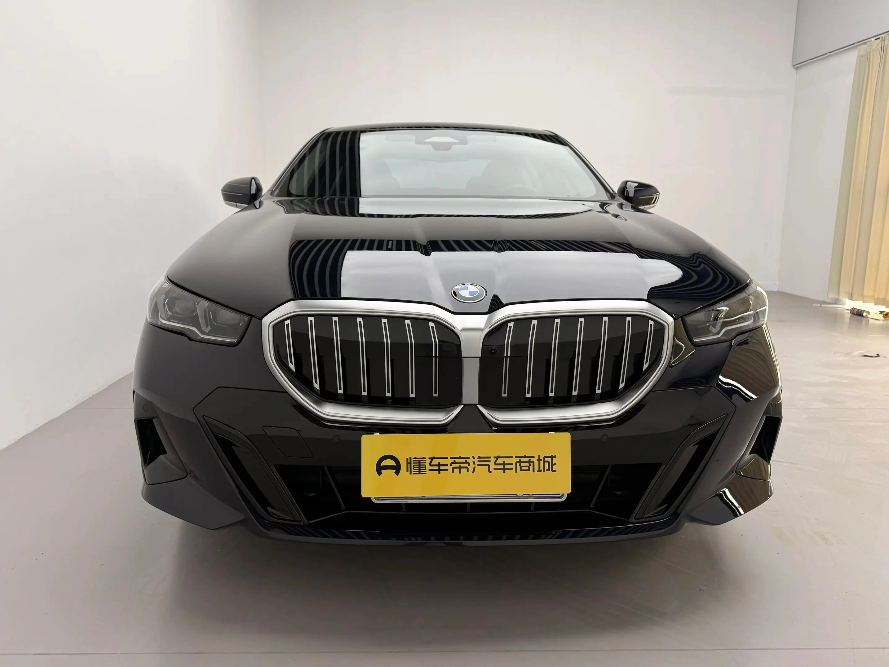 BMW 5 Series 530Li Leading - exterior