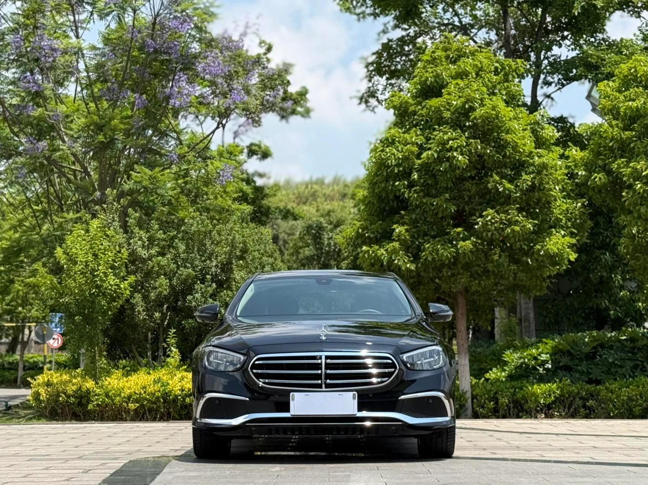 Mercedes-Benz E-Class E300 L Fashion