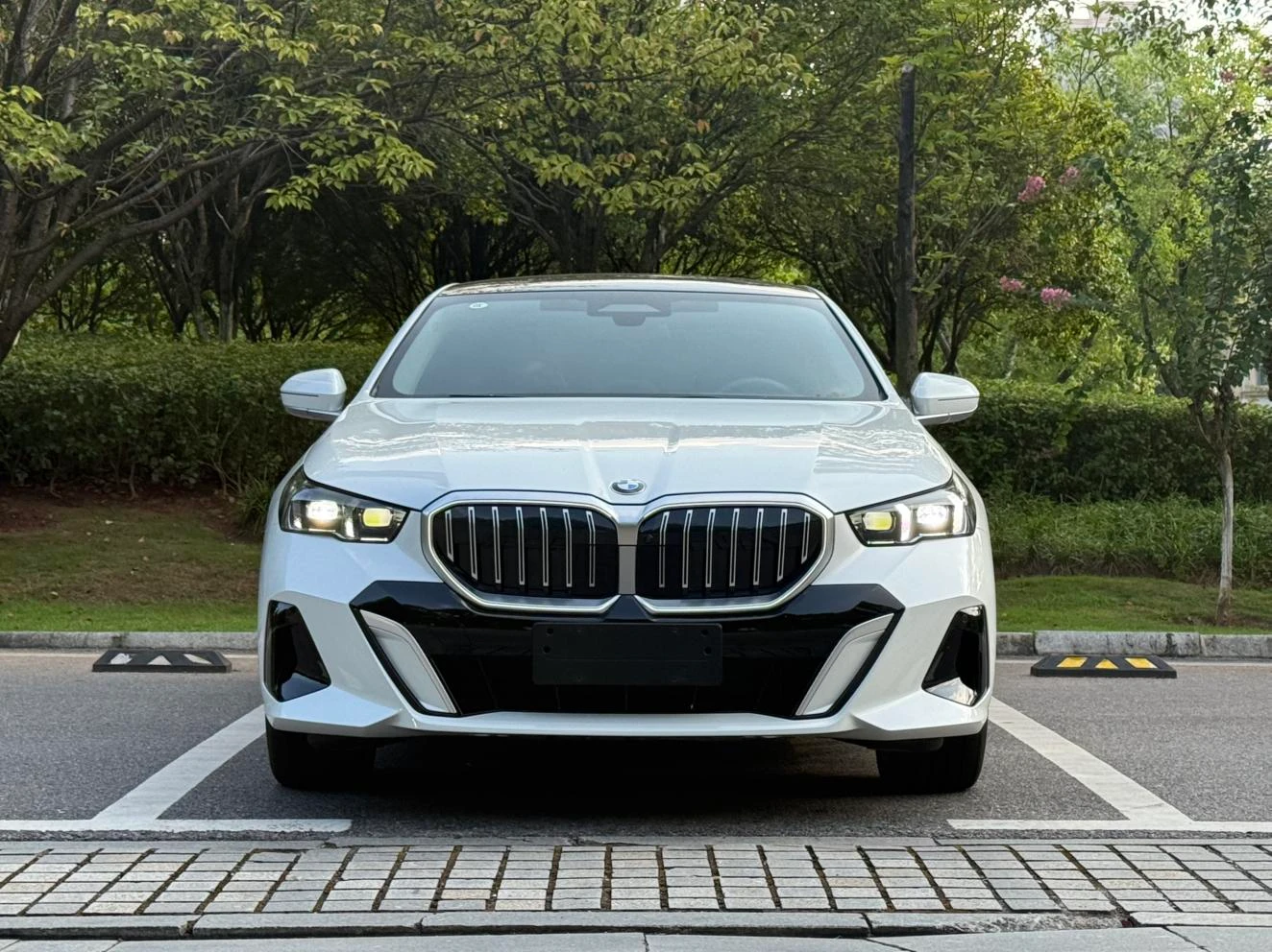 BMW 5 Series 530Li Luxury M Sport Package - exterior