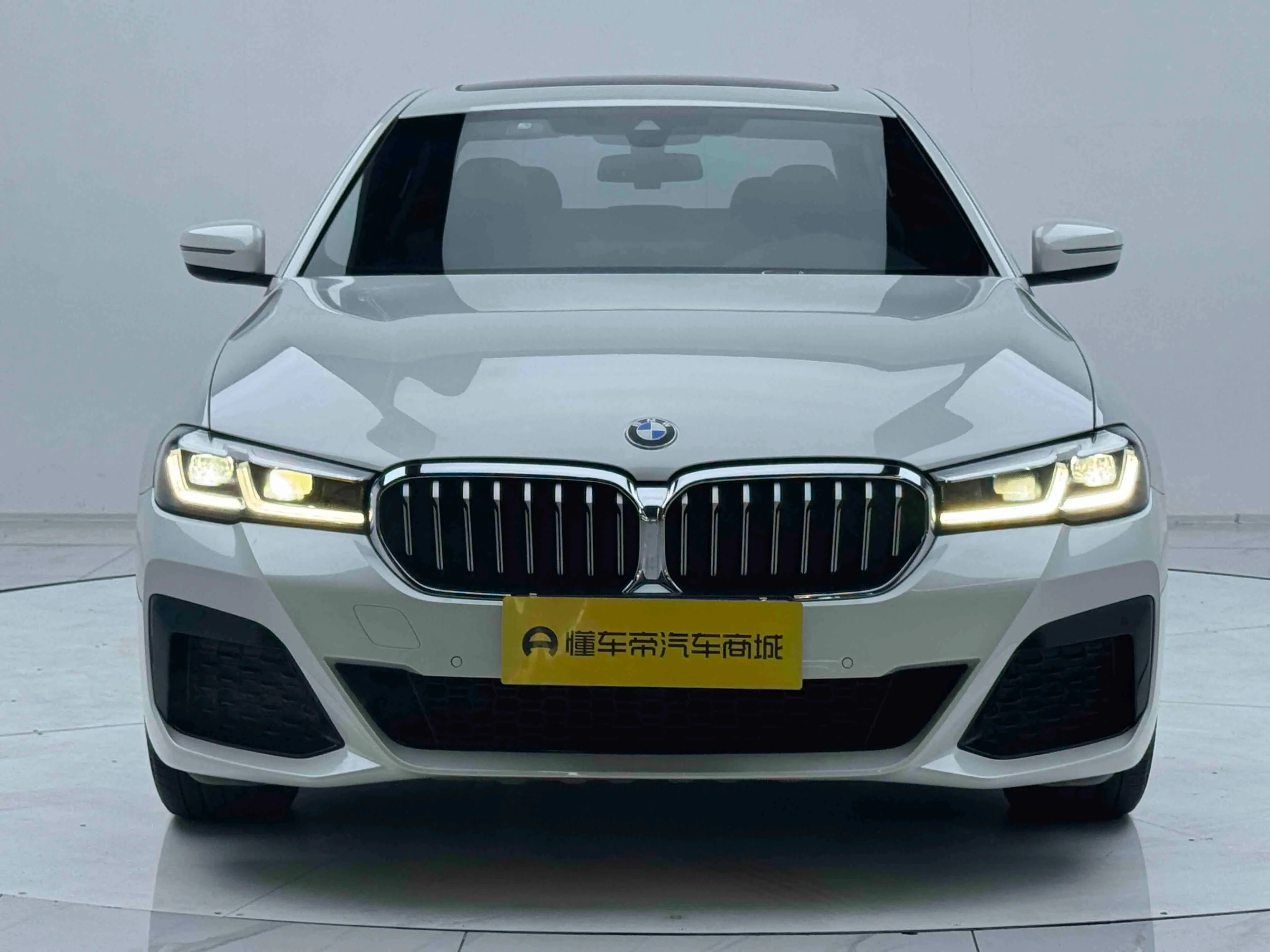 BMW 5 Series 530Li M Sport - exterior