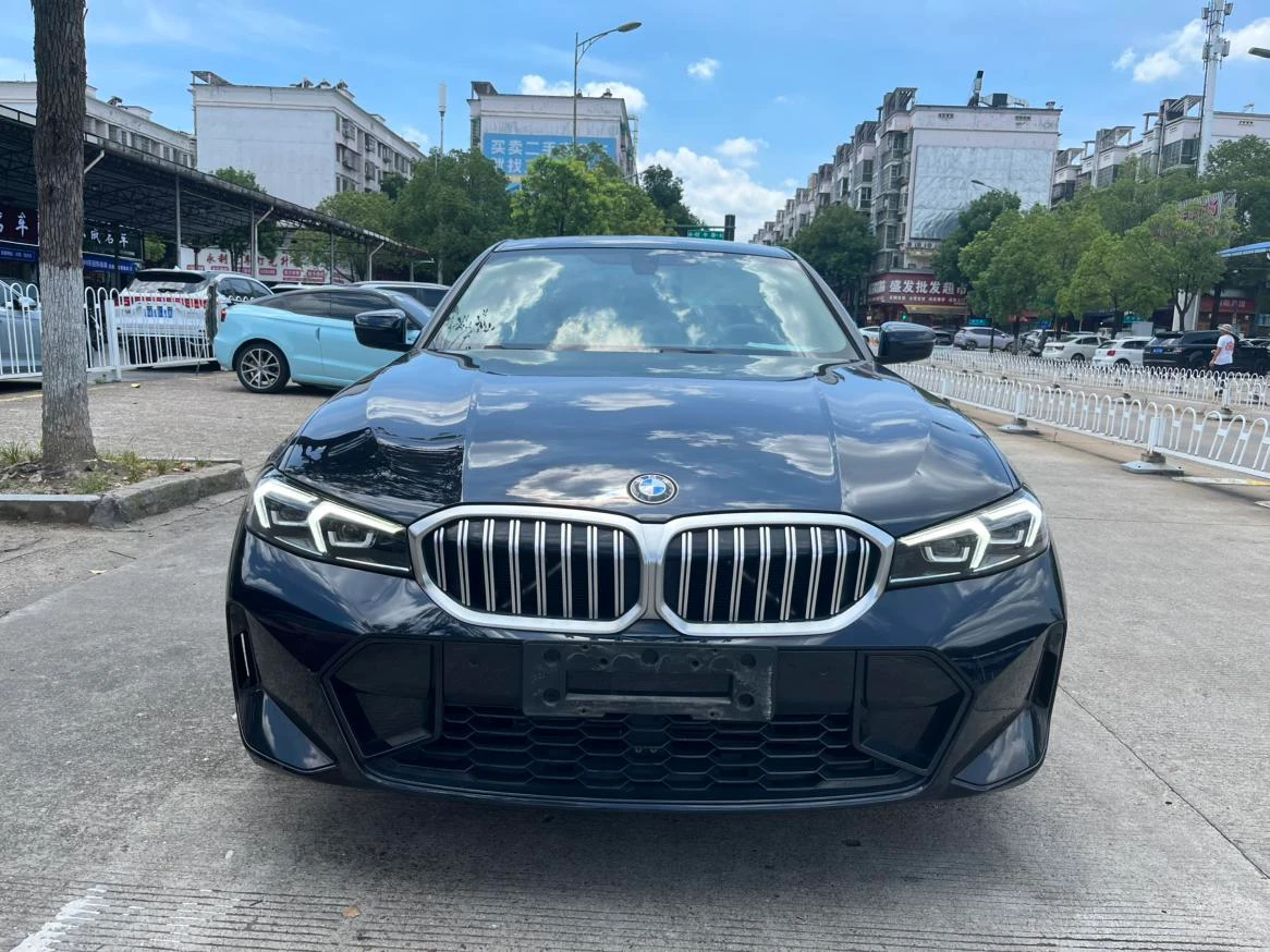BMW 3 Series 320Li M Sport Package - exterior