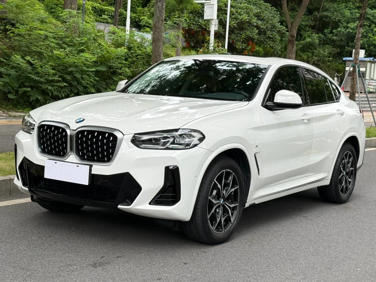 BMW X4 xDrive 25i M Sport Package