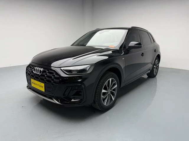 Audi Q5L Luxury Dynamic Trim