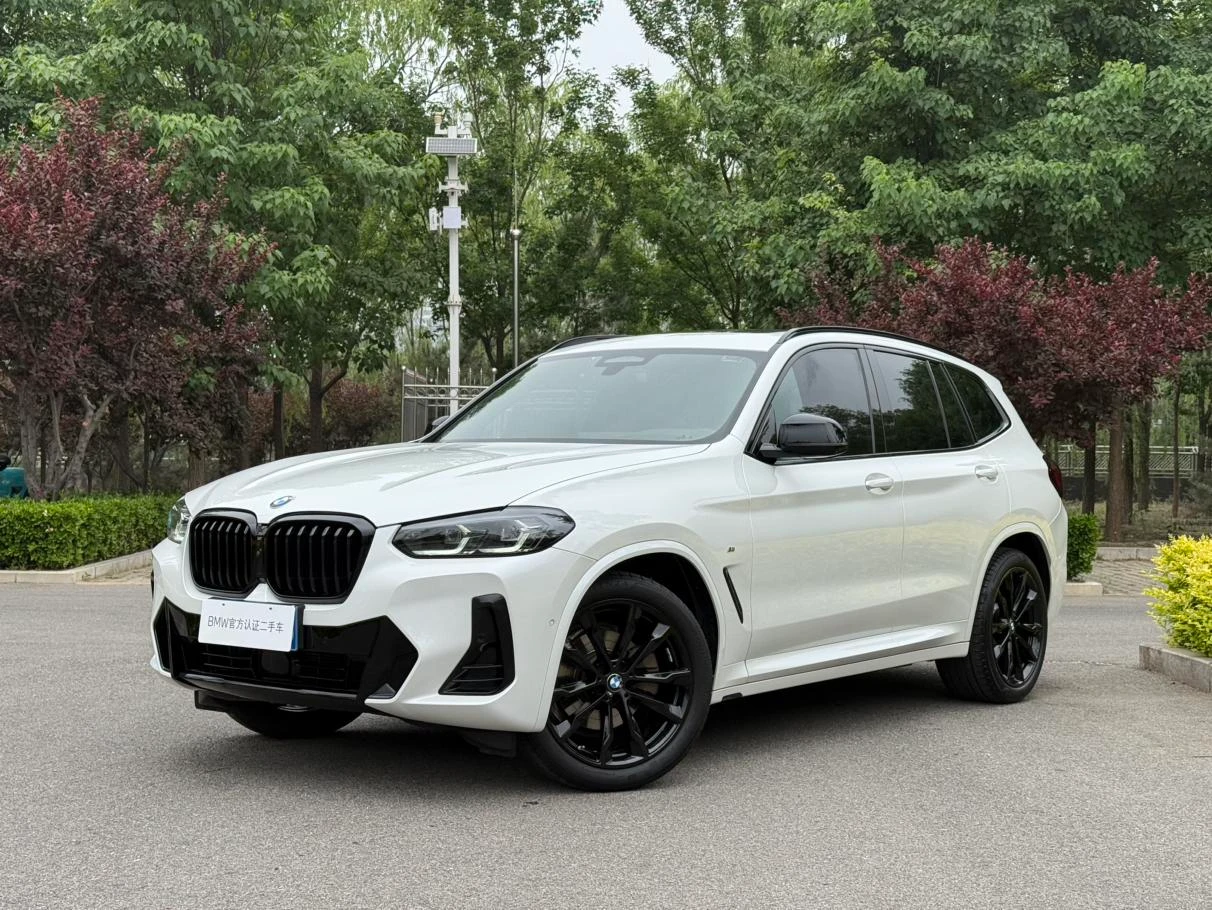 BMW X3 xDrive30i Luxury M Shadowline Package - exterior