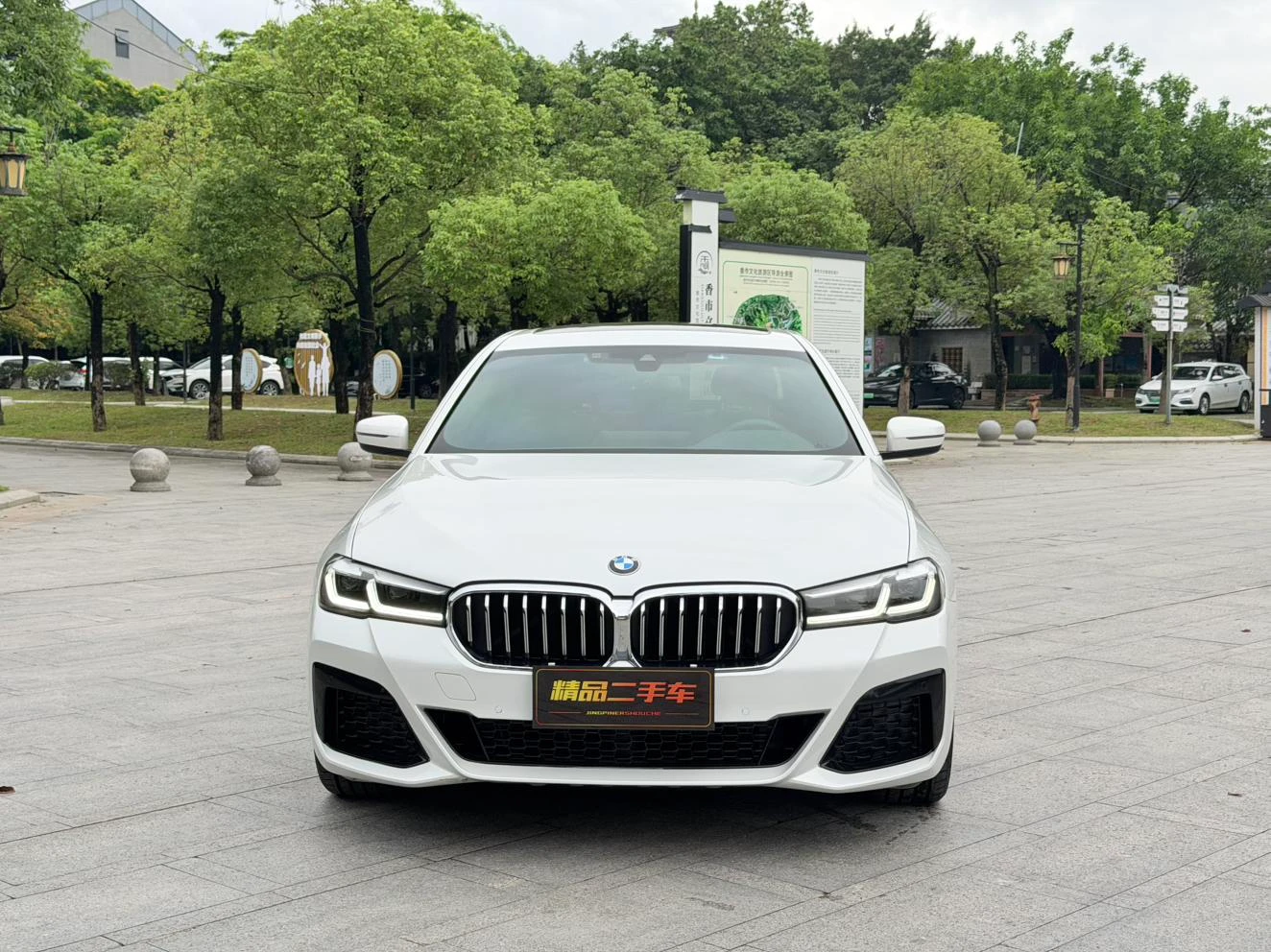 BMW 5 Series 530Li Leading M Sport Package - exterior