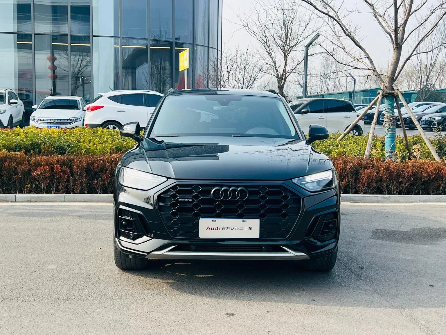 Audi Q5L 40 TFSI (Luxury Dynamic Trim) - exterior