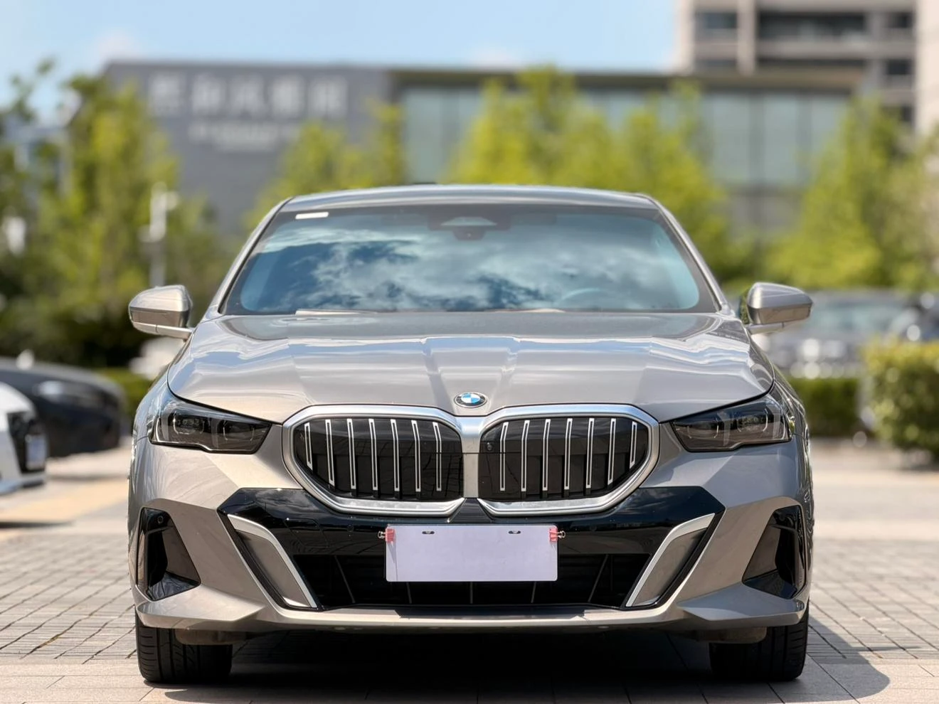 BMW 5 Series 530Li Leading M Sport Package - exterior