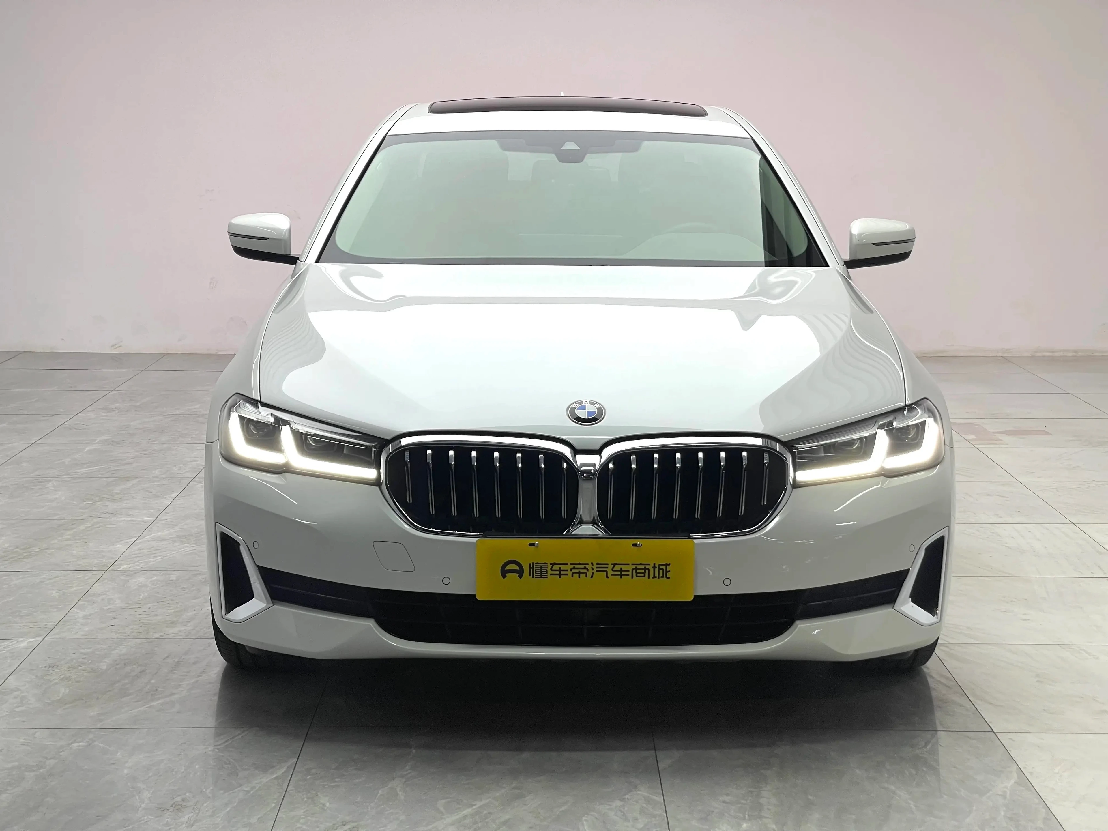 BMW 5 Series 530Li Leading - exterior
