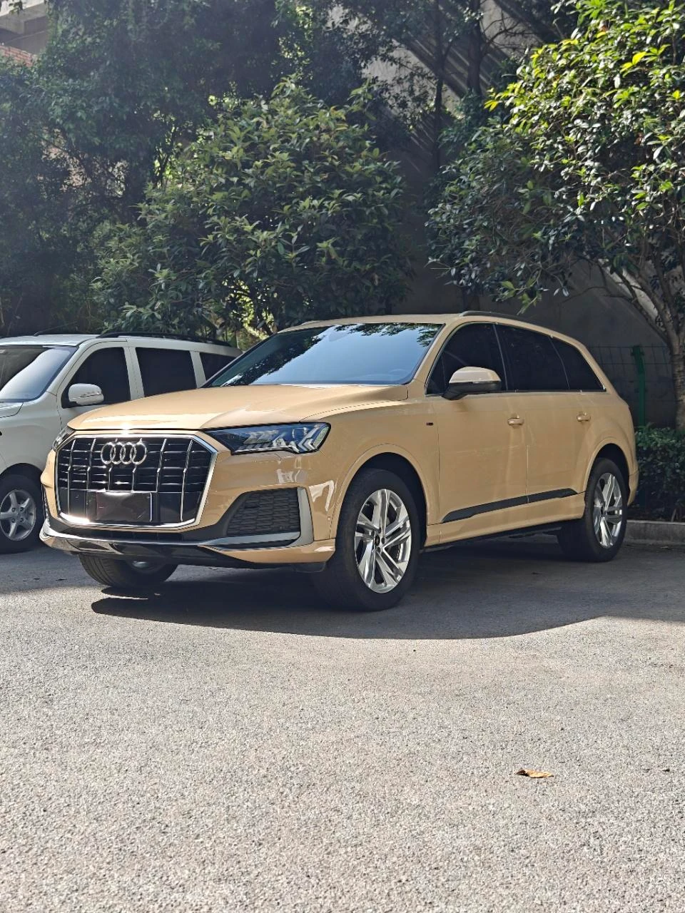 Audi Q7 45 TFSI Quattro S line Sport
