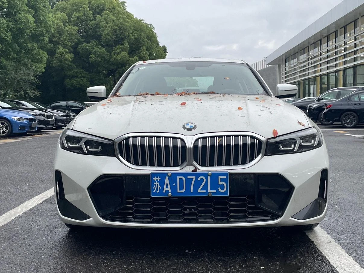 BMW 3 Series 320Li M Sport Package - exterior