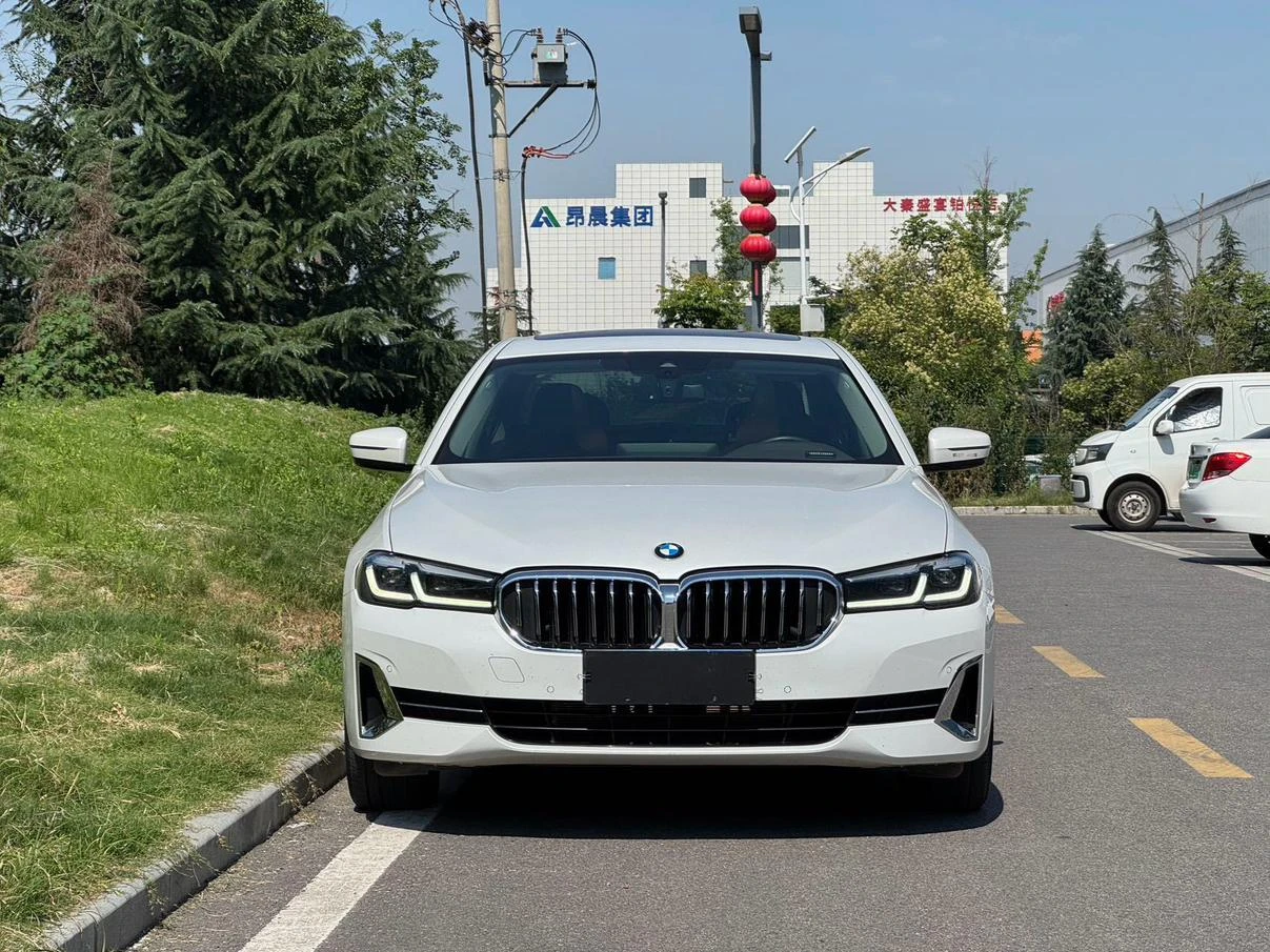 BMW 5 Series 530Li xDrive Luxury Package - exterior