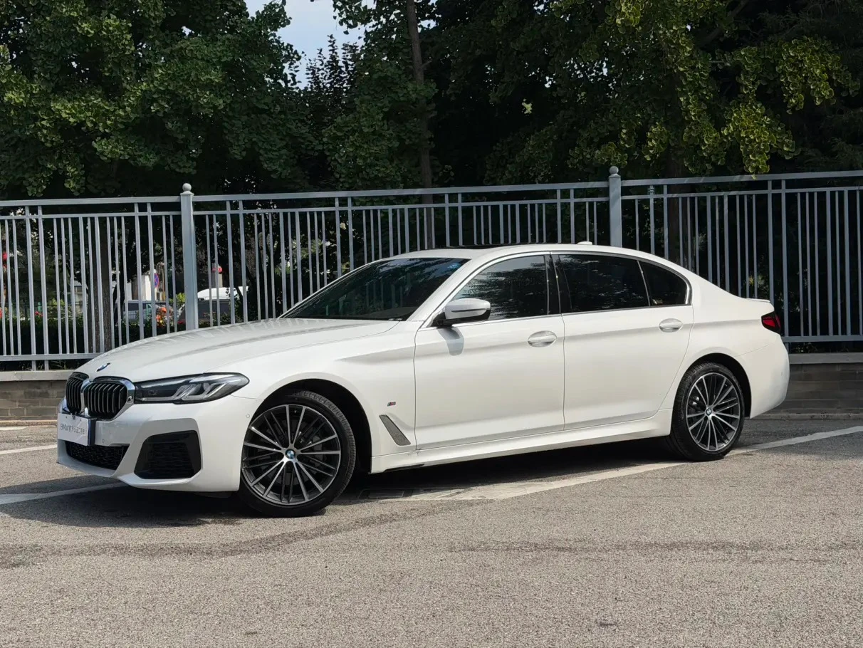 BMW 5 Series 530Li Leading Edition