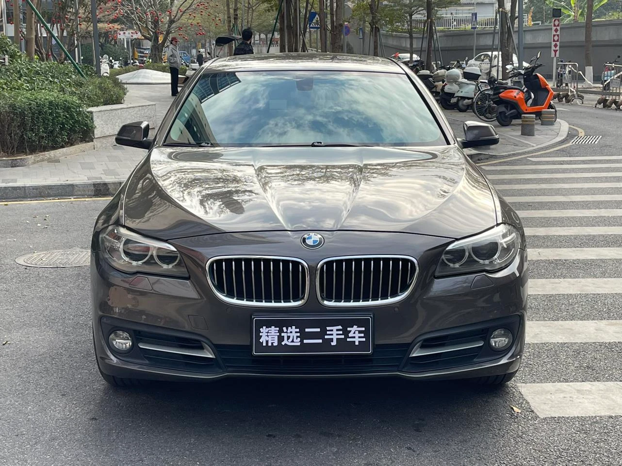 BMW 5 Series  520Li  - exterior