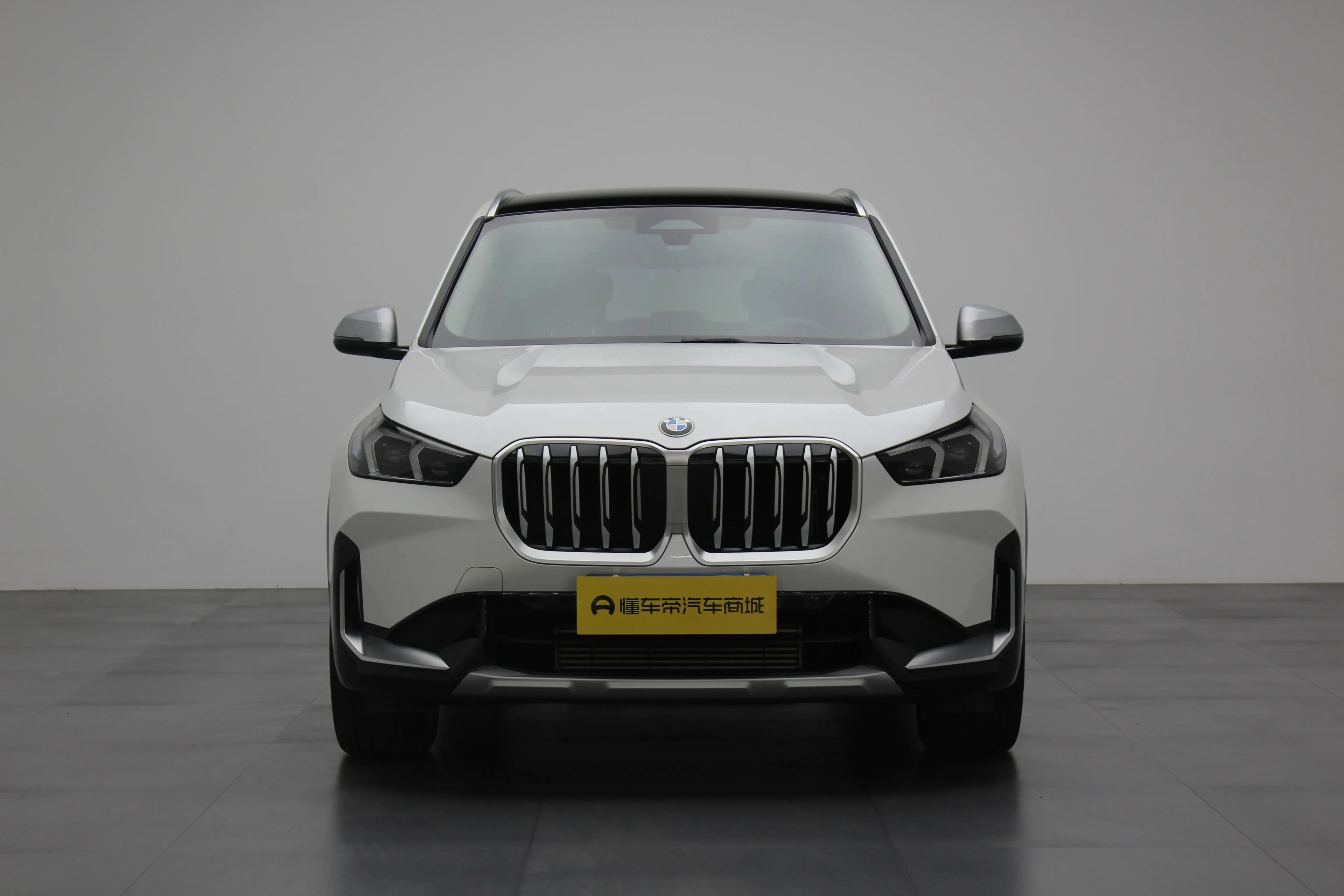 BMW X5 xDrive 25Li Design Package - exterior