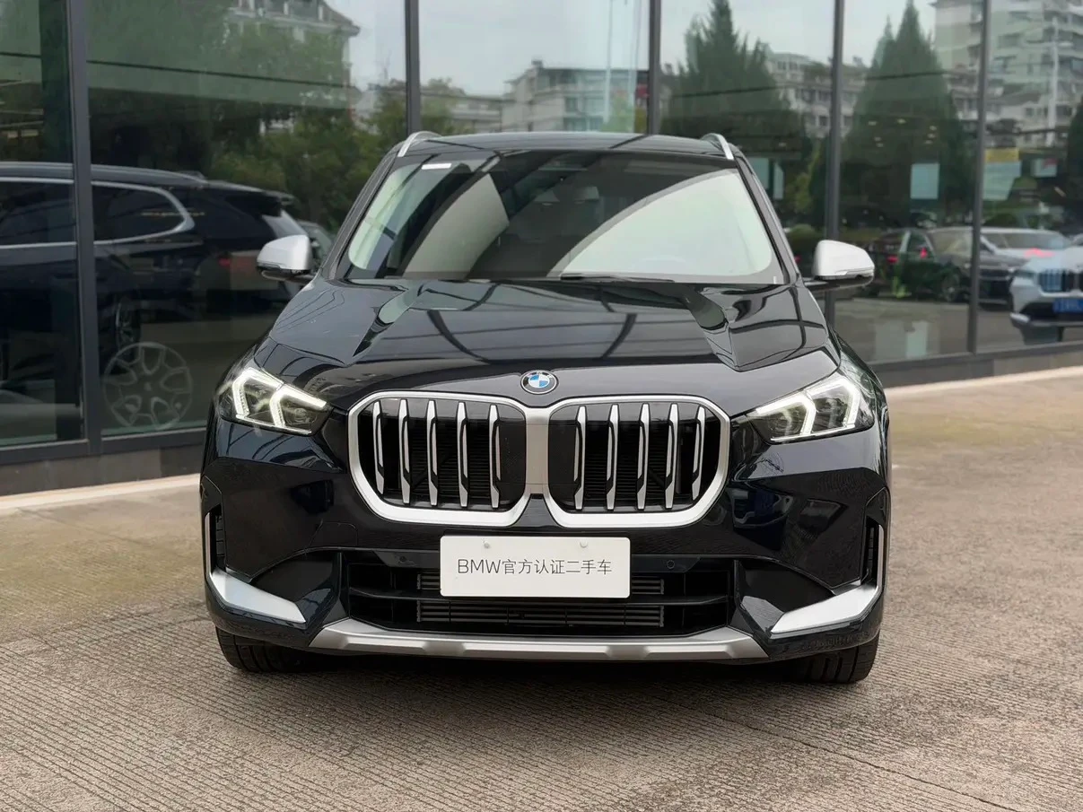 BMW X5 xDrive 25Li Design Package - exterior