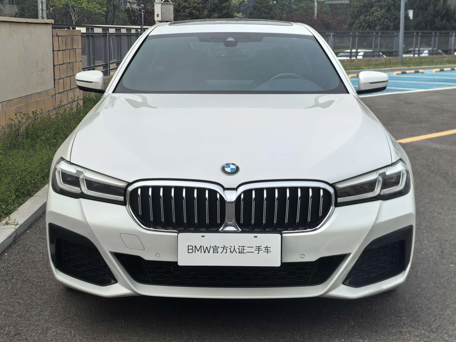 BMW 5 Series 525Li M Sport Package - exterior