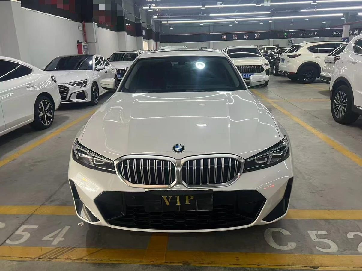 BMW 3 Series 320Li M Sport Package - exterior