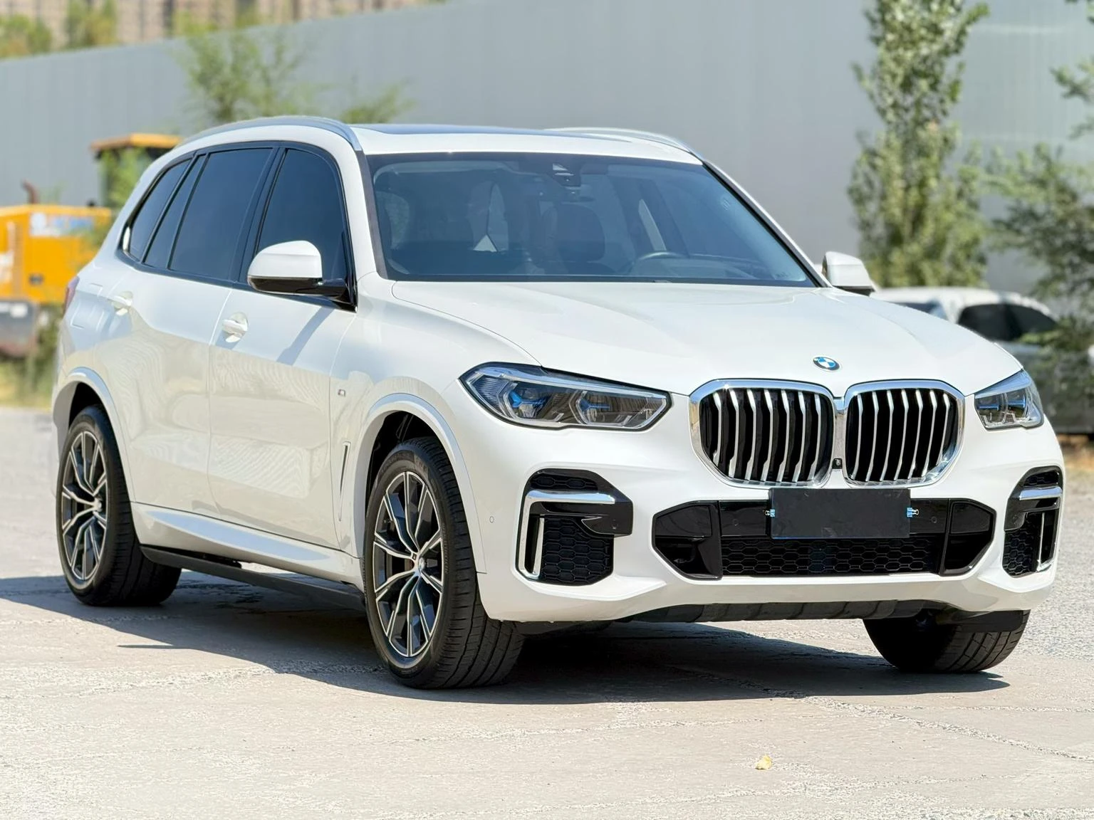 BMW X5 xDrive 30Li M Sport package - exterior