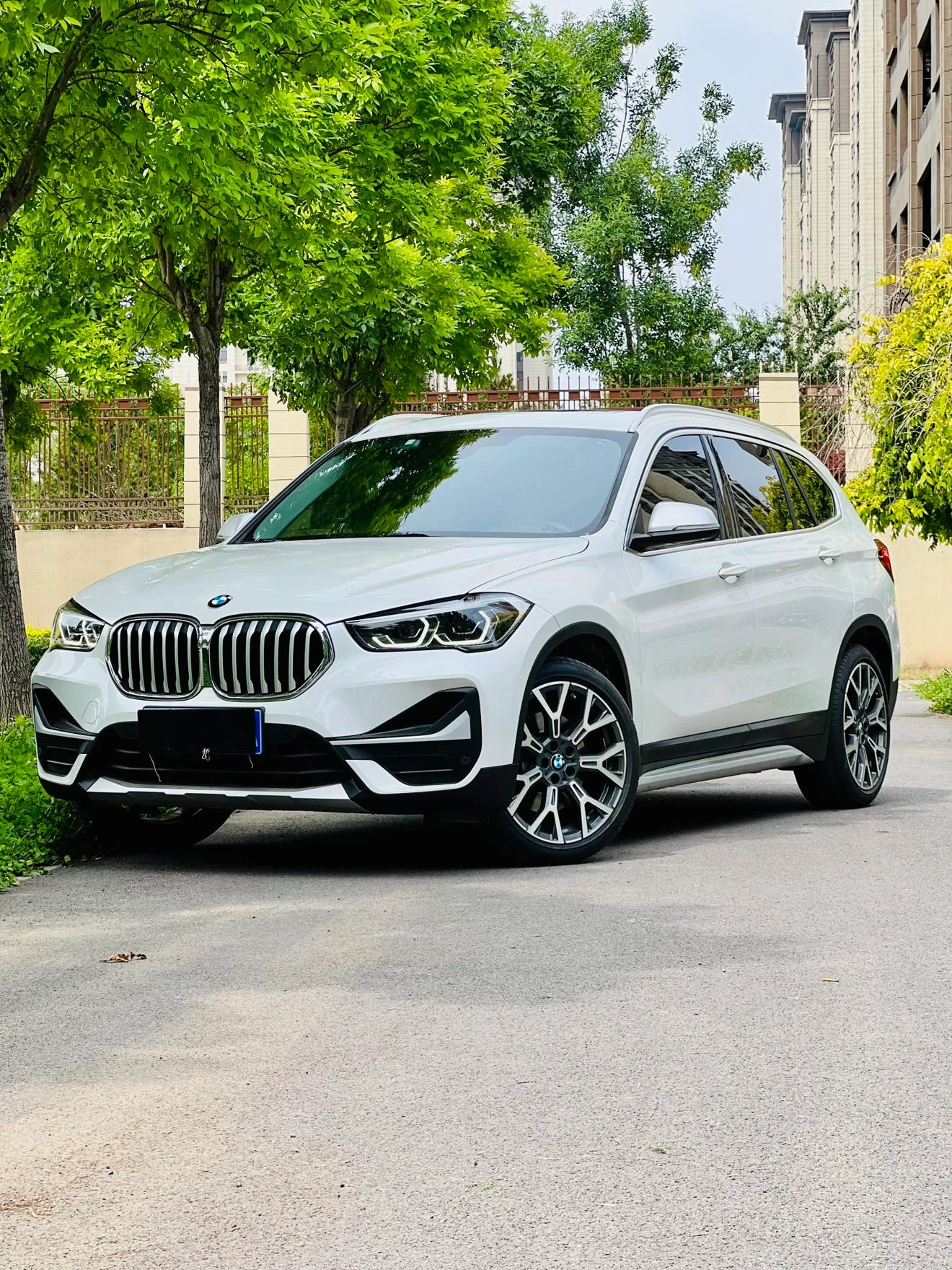 BMW X1 xDrive 25Li