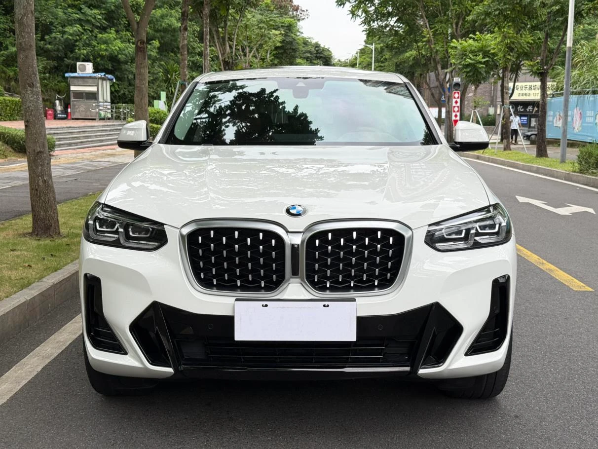 BMW X4 xDrive 25i M Sport Package - exterior