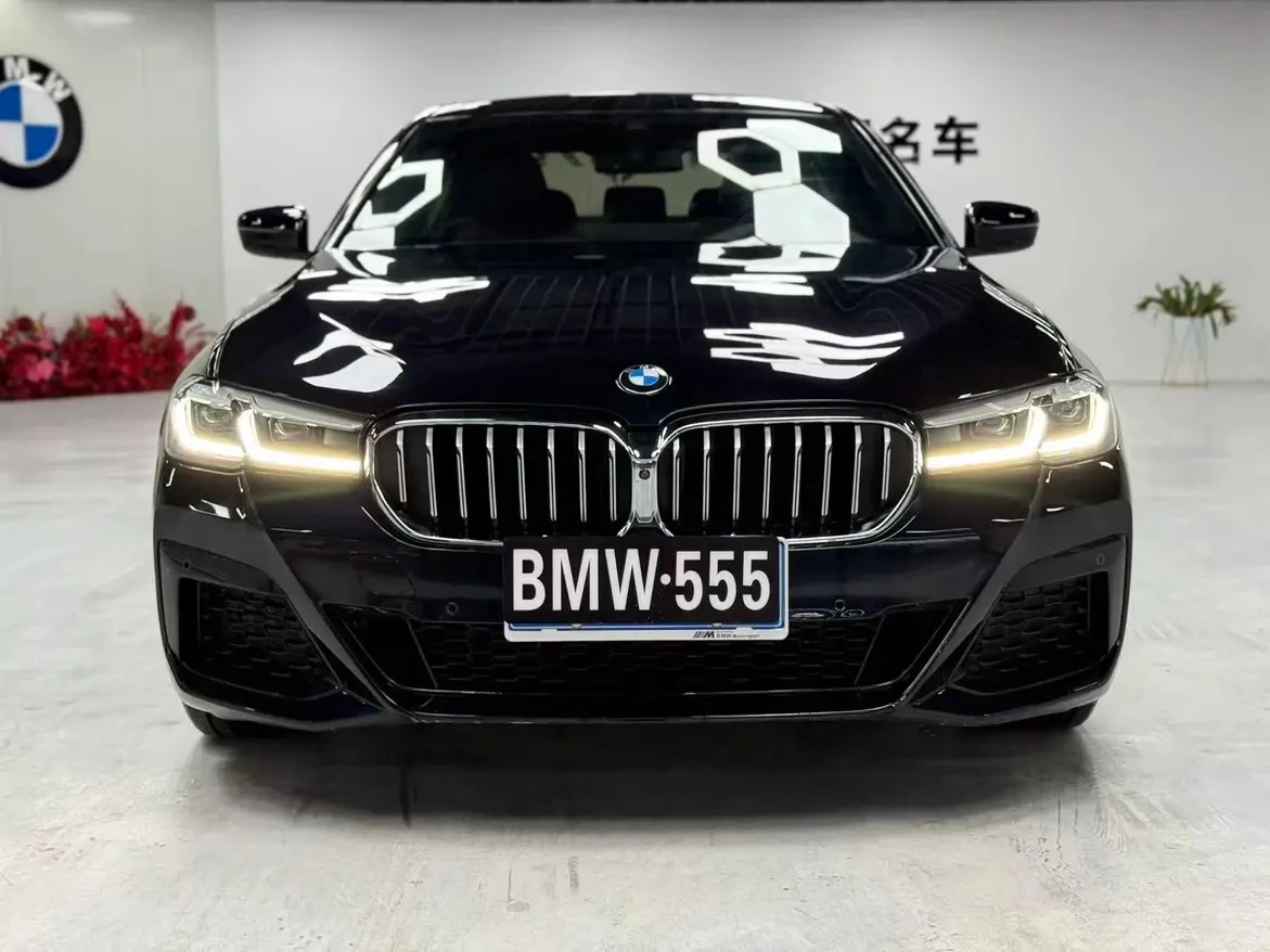 BMW 5 Series 530Li Luxury - exterior