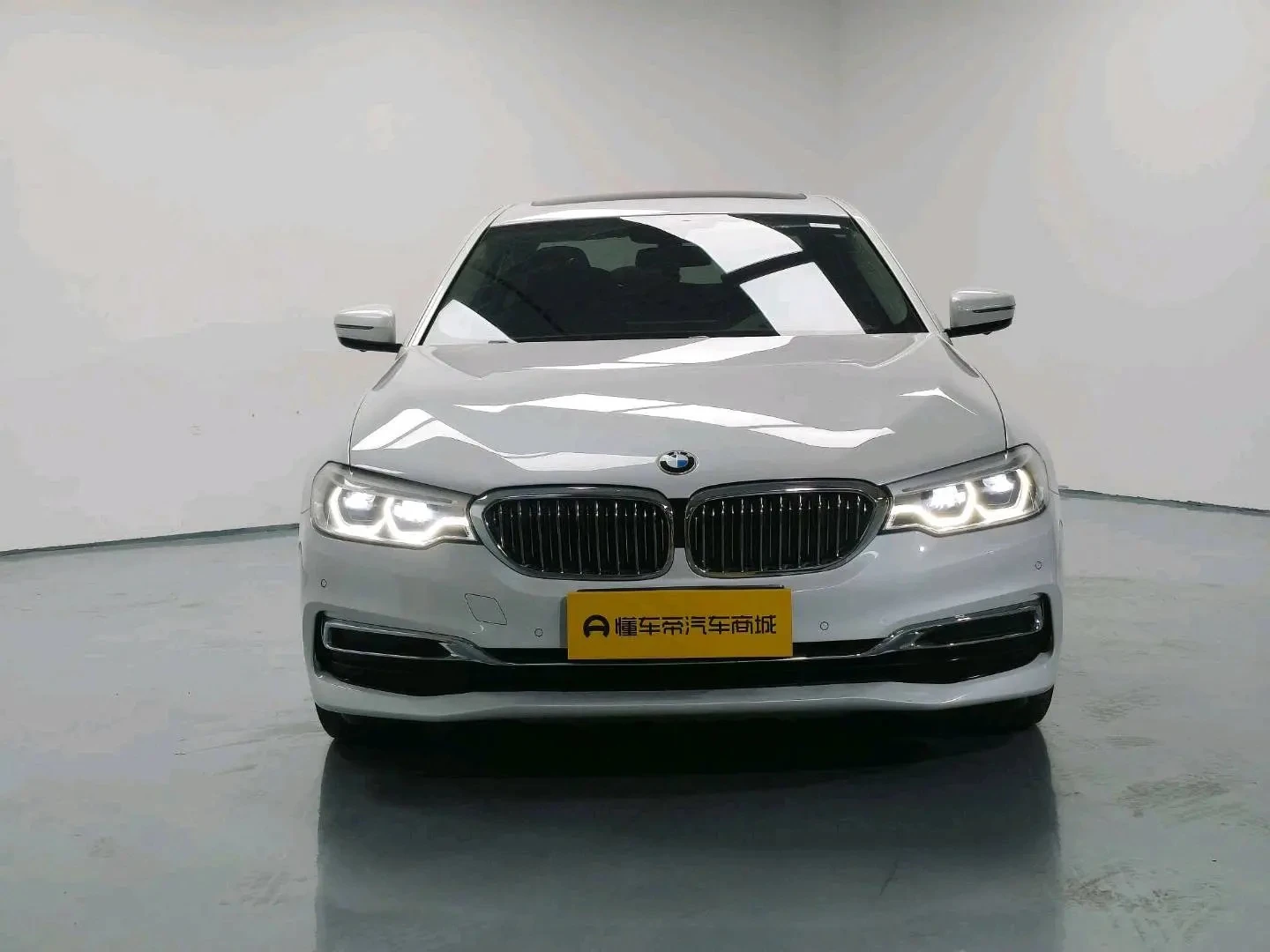 BMW 5 Series 530Li Luxury - exterior