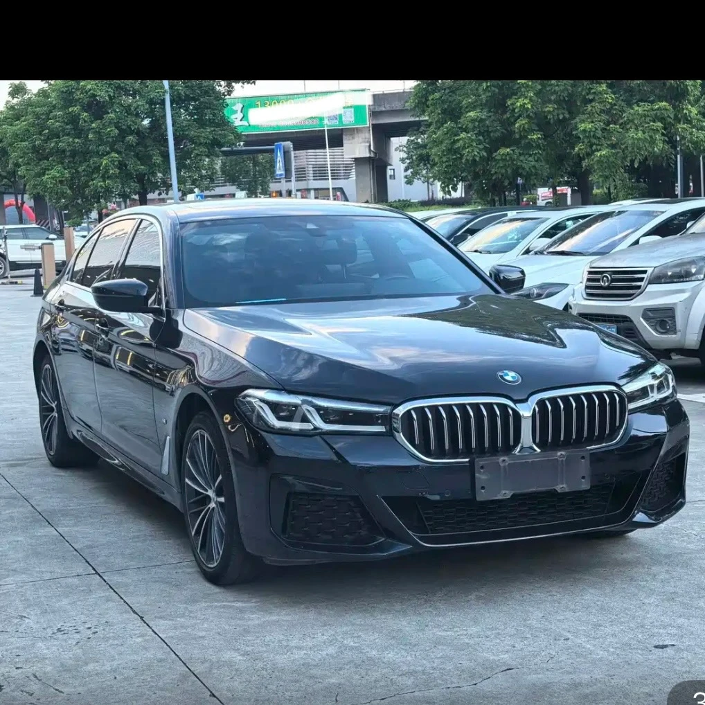 BMW 5 Series 530Li Leading - exterior