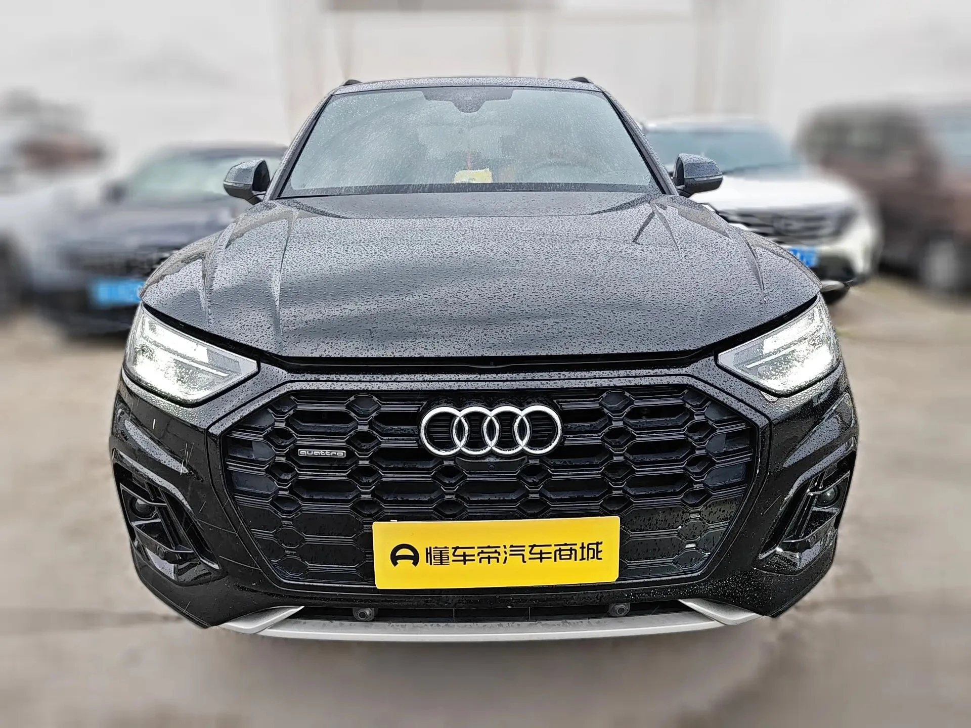 Audi Q5L 45TFSI Luxury Dynamic Model - exterior