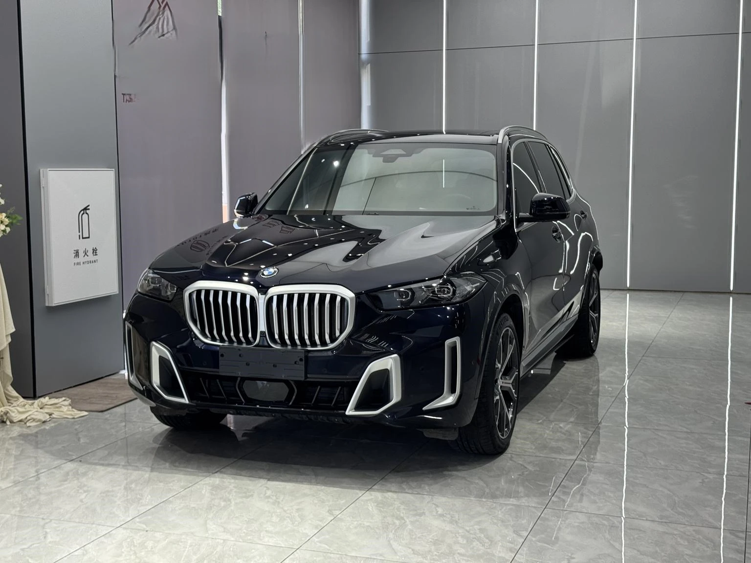 BMW X5 xDrive30Li Luxury M Sport Package