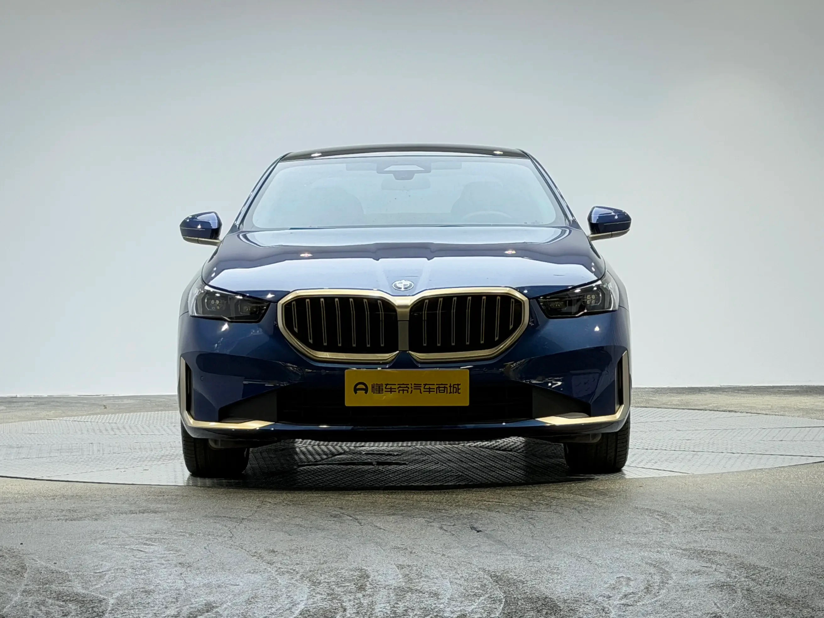 BMW 5 Series 530Li Luxury - exterior