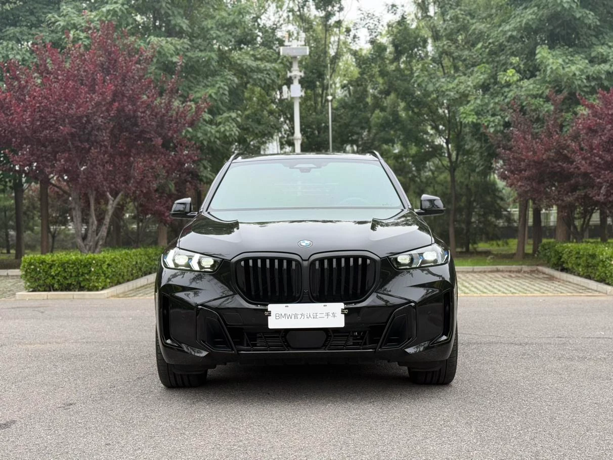 BMW X5 xDrive40Li Luxury M Sport Night Edition - exterior