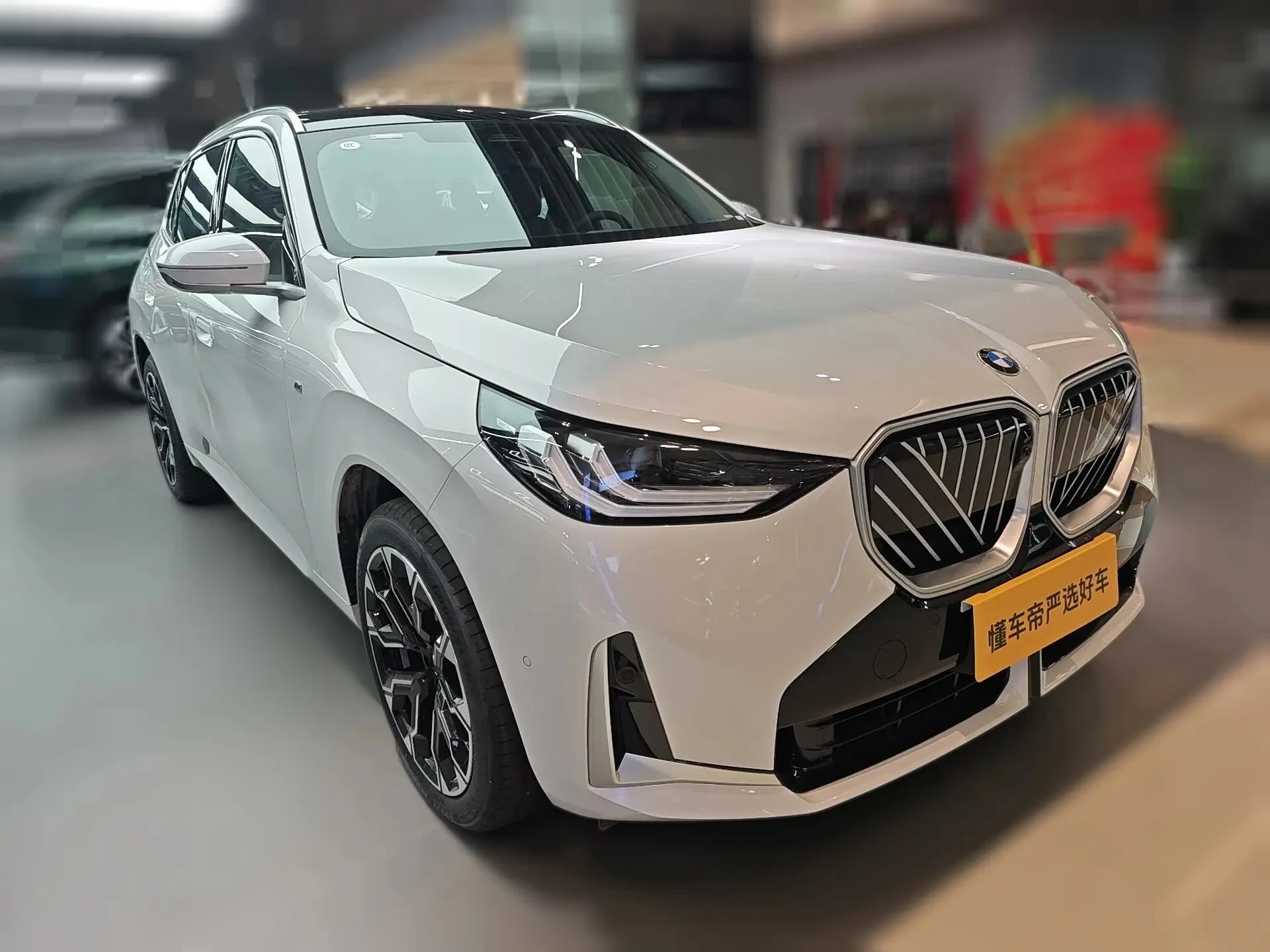 BMW X3 30L Leading - exterior