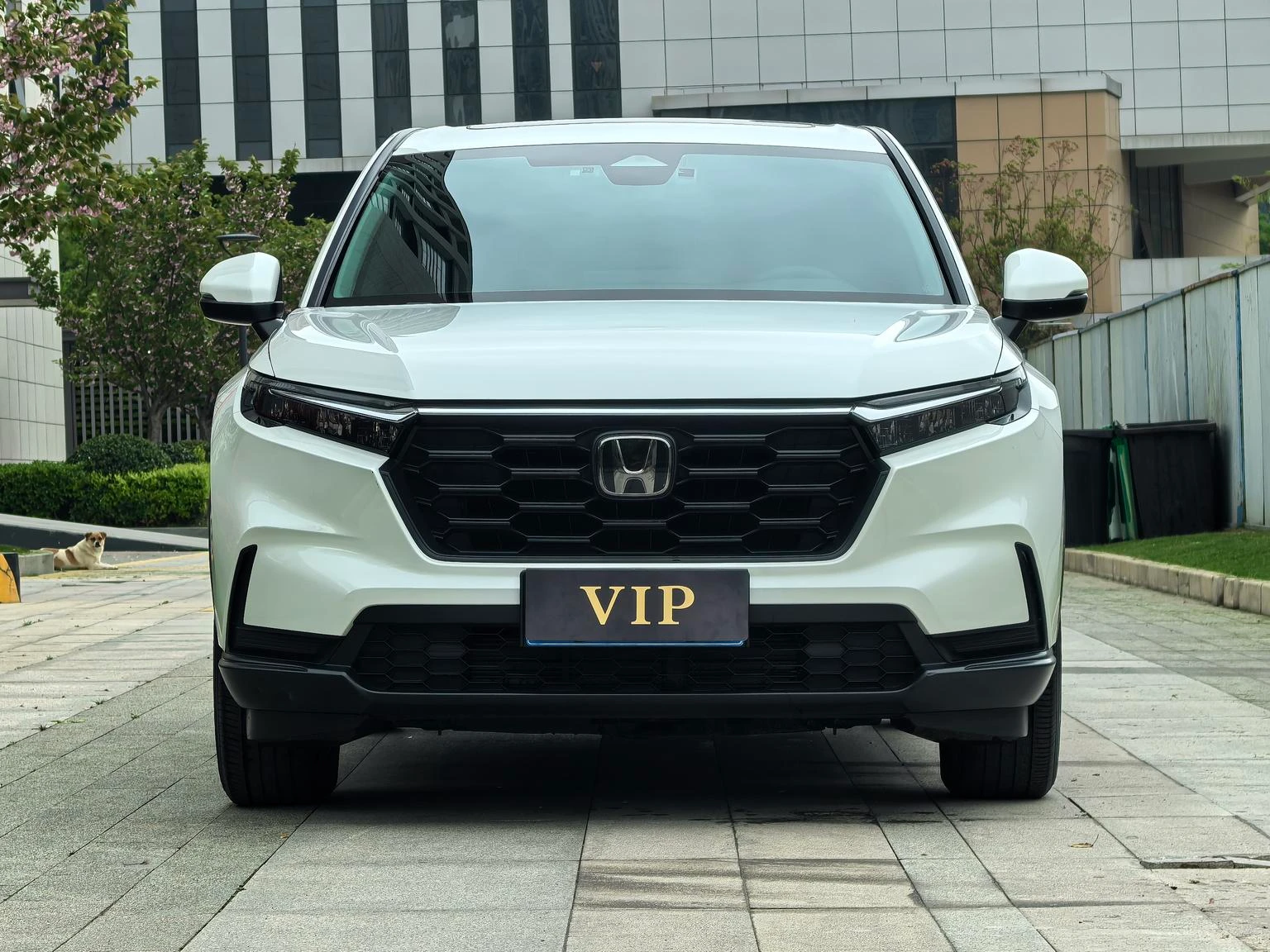 Honda CR-V 240TURBO CVT 2WD Smart Leader - exterior