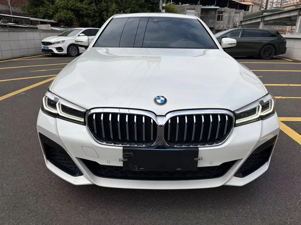 BMW 5 Series 530Li Leading M Sport Package