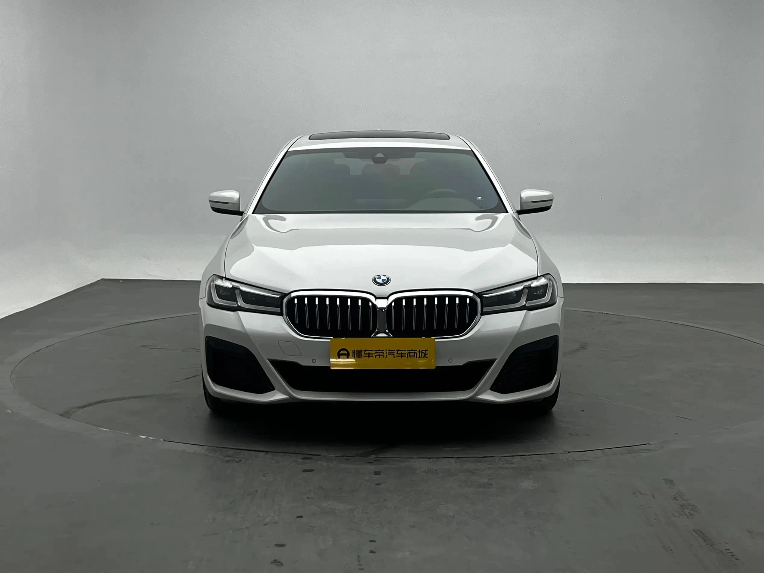 BMW 5 Series 530Li Leading - exterior