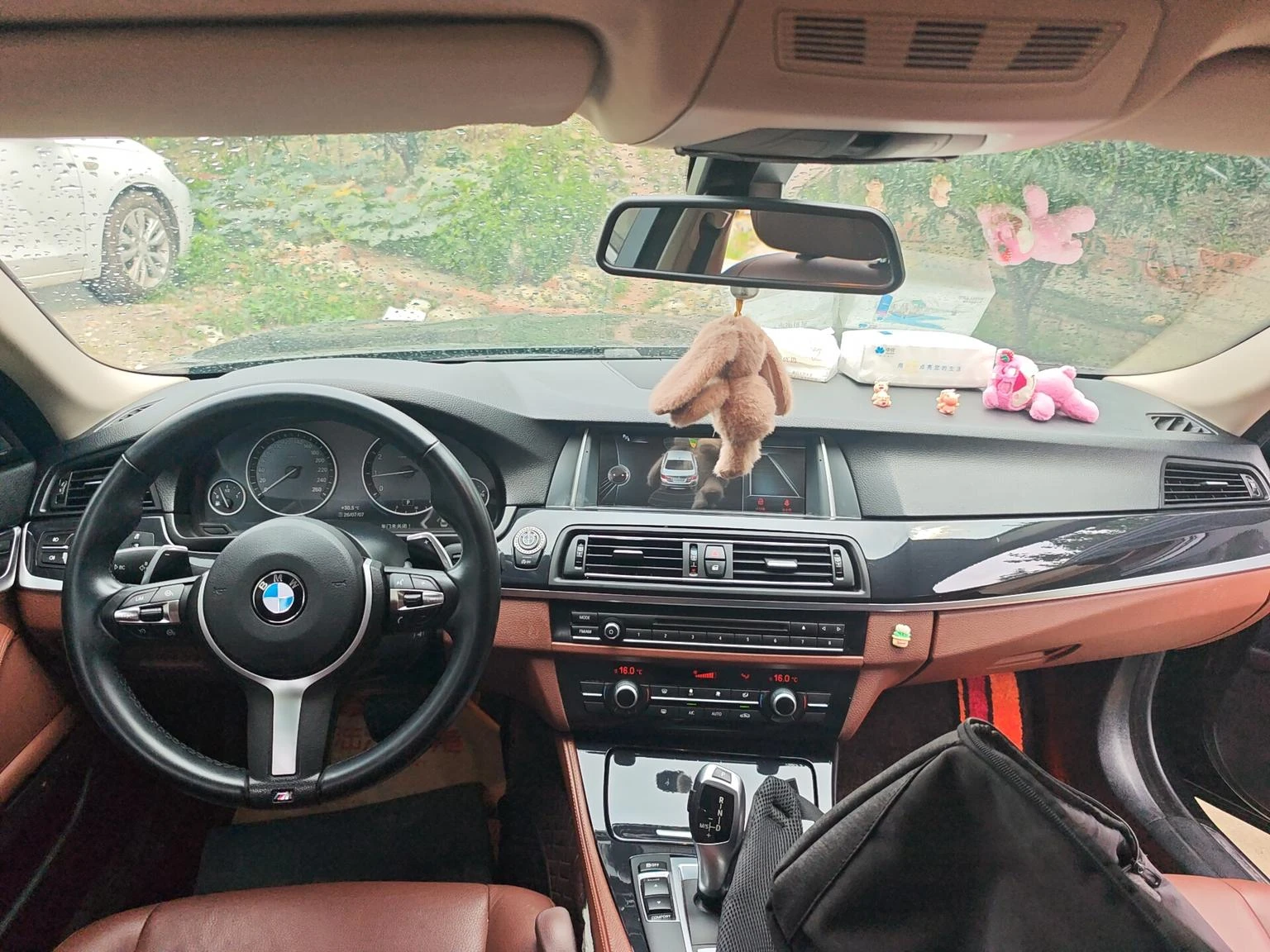 BMW 520 Li - interior