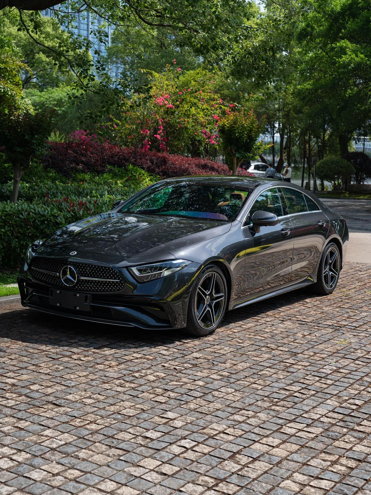 Mercedes-Benz CLS-Class CLS300 Dynamic - exterior