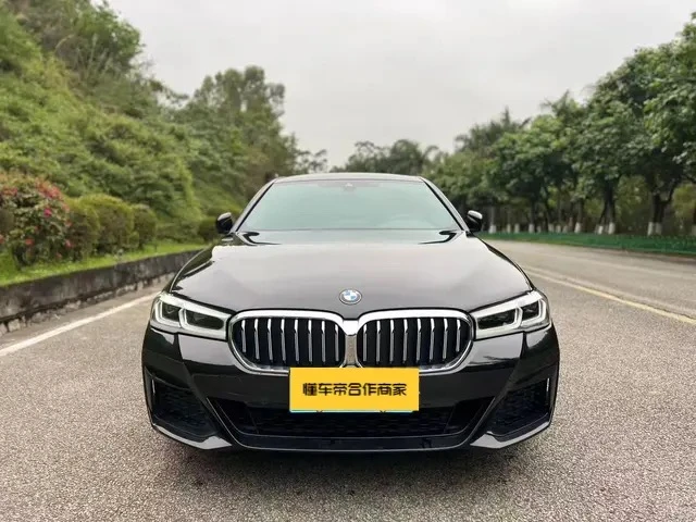 BMW 5 Series 530Li Leading Edition - exterior