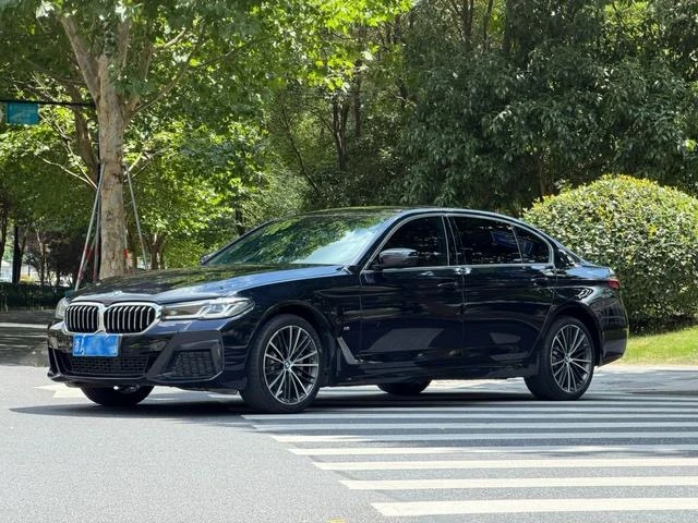 BMW 5 Series 530Li Leading