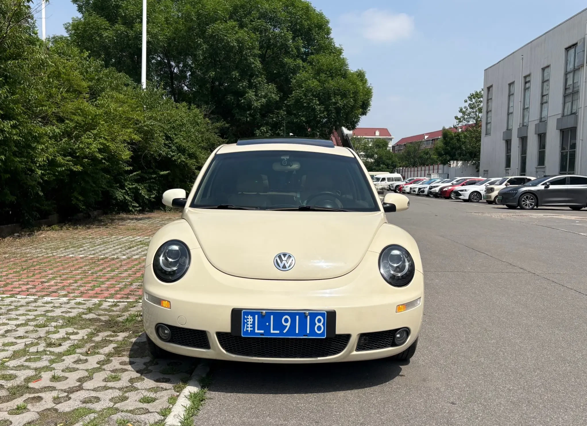 Volkswagen Beetle 2.0L AT (Standard Trim) - exterior
